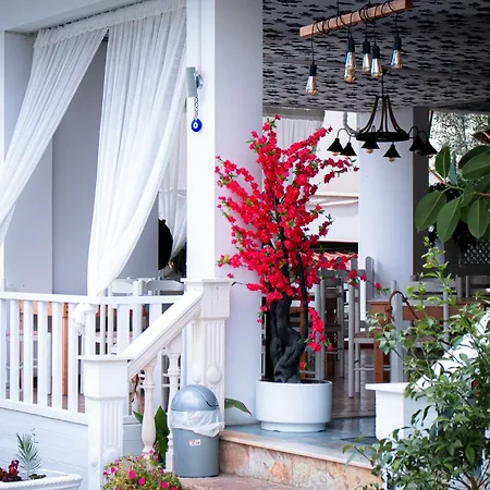 Hotel Fron *