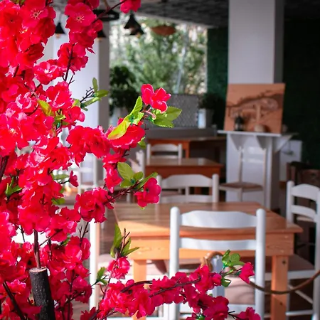 Fron Hotel *